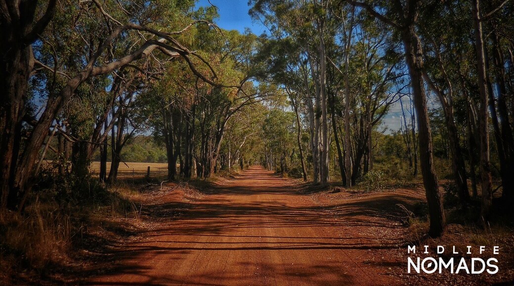 I love a sunburnt country,
A land of sweeping plains,
Of ragged mountain ranges,
Of droughts and flooding rains.
I love her far horizons,
I love her jewel-sea,
Her beauty and her terror
The wide brown land for me
excerpt from 'My Country' by Dorothea Mackellar