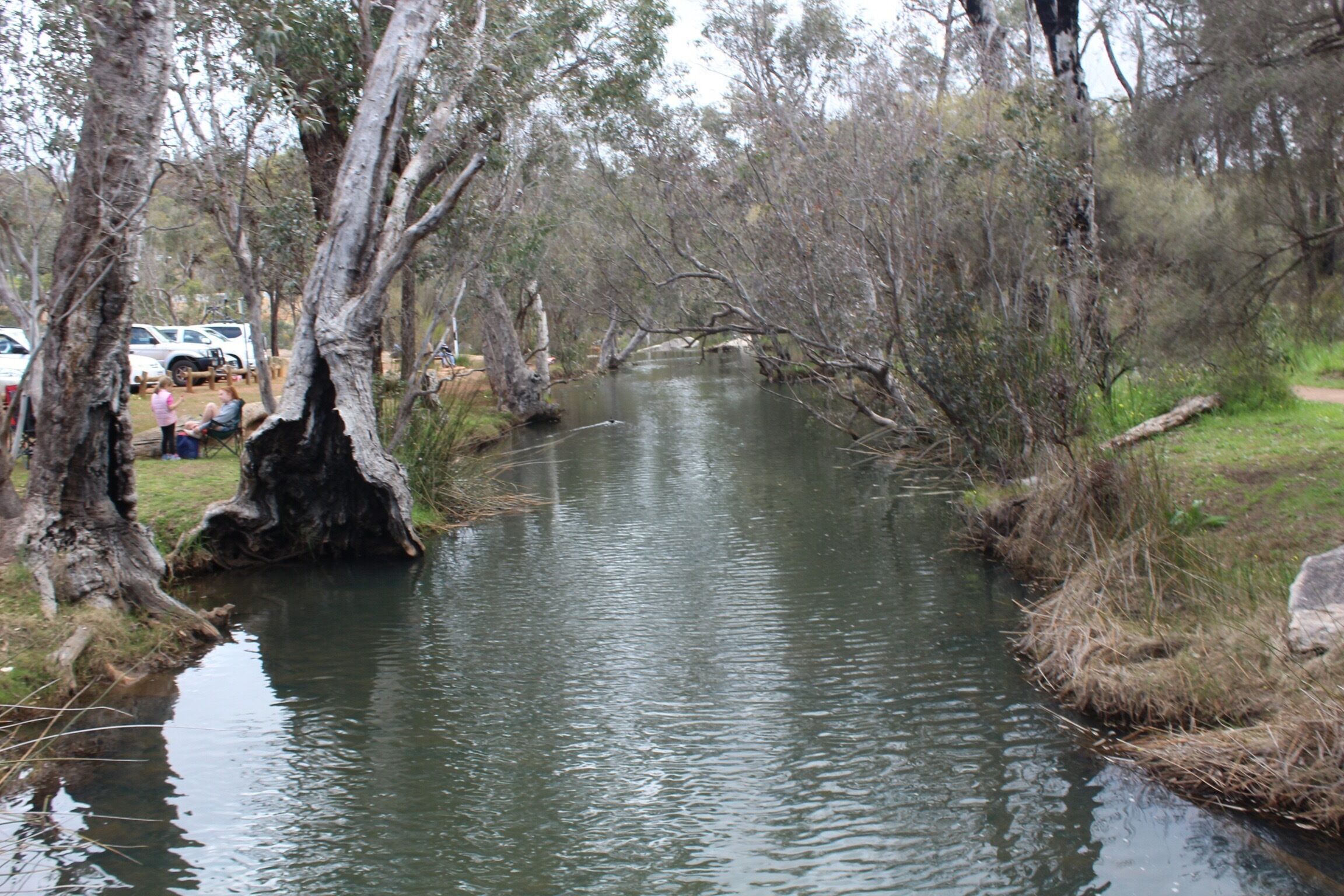 Noble Falls in Western Australia, a place of peace and tranquility, a great place to have a picnic with the family and view the wild flowers in the wildflower season!
