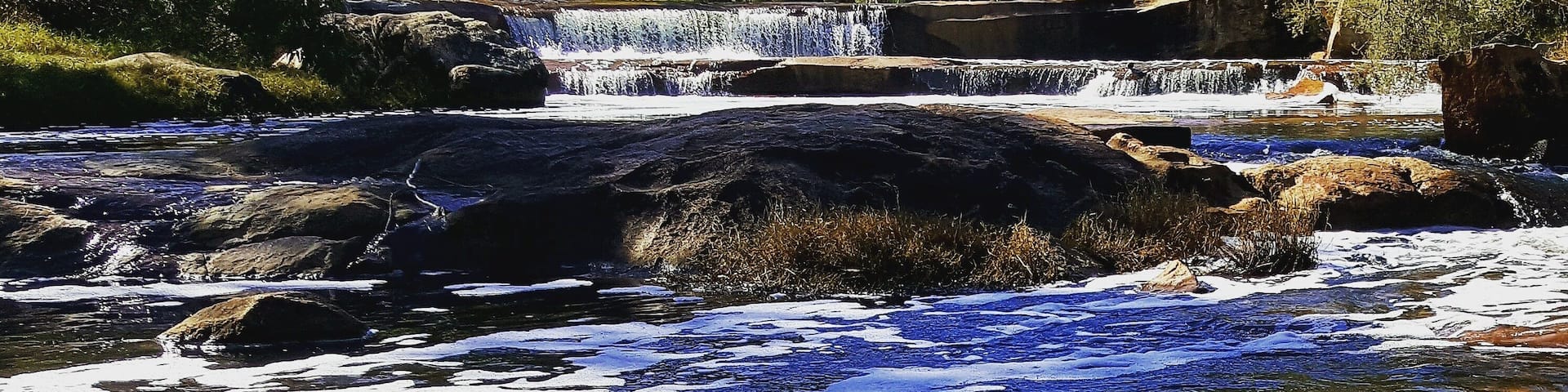 This was after early winter rain. Gets better later in winter