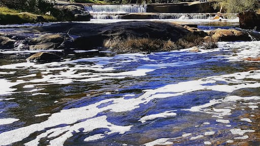 This was after early winter rain. Gets better later in winter