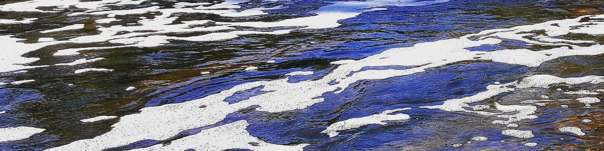 This was after early winter rain.  Gets better later in winter