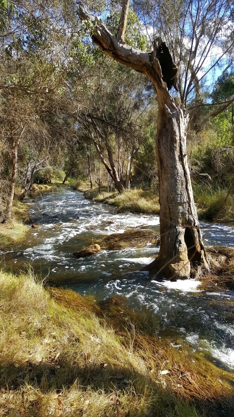 Just across the road from the Noble Falls Tavern is a little creek that feeds Noble Falls.  Best during winter when theres been plenty of rain.