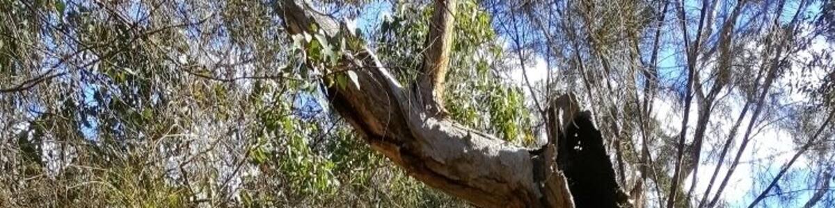 Just across the road from the Noble Falls Tavern is a little creek that feeds Noble Falls. Best during winter when theres been plenty of rain.
