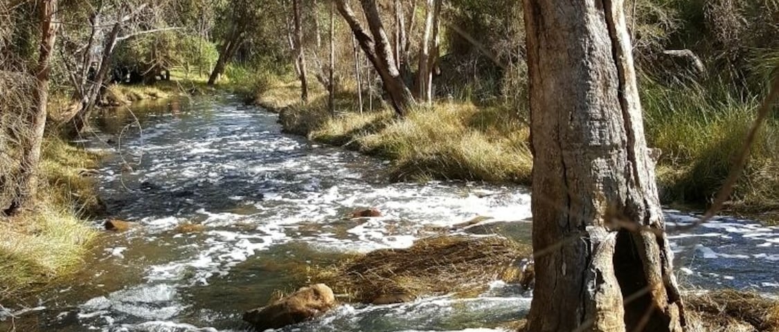Just across the road from the Noble Falls Tavern is a little creek that feeds Noble Falls. Best during winter when theres been plenty of rain.