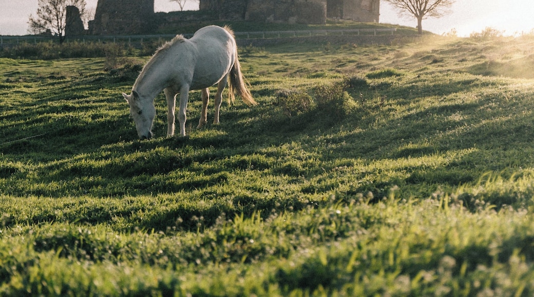 #Jvari is only about an hour ride from #Tbilisi and the wonderful views are worth it. I highly recommend visiting at sunset!