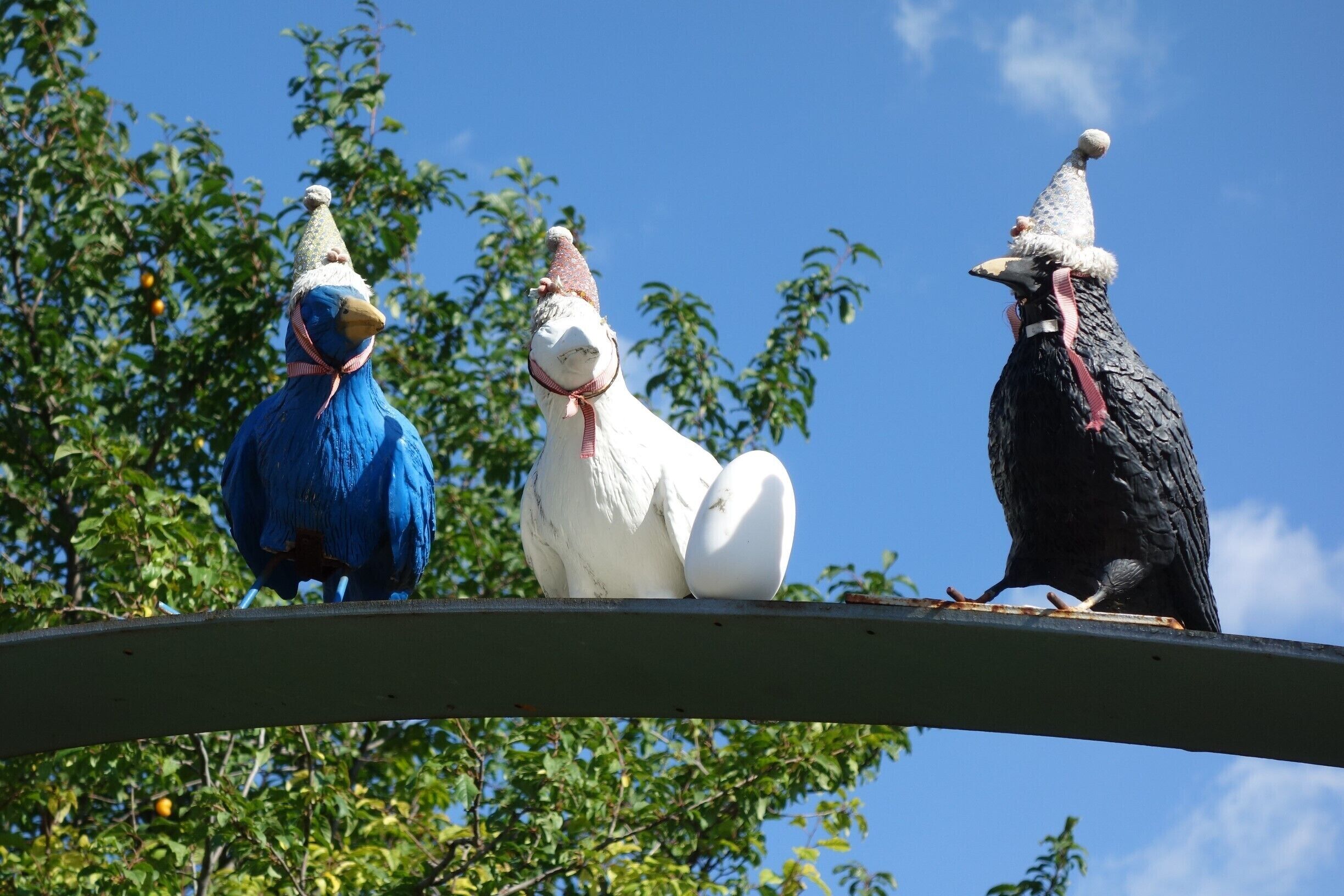 The #Wildlife campaign results in a lot of pictures of birds. This is my modest contribution.