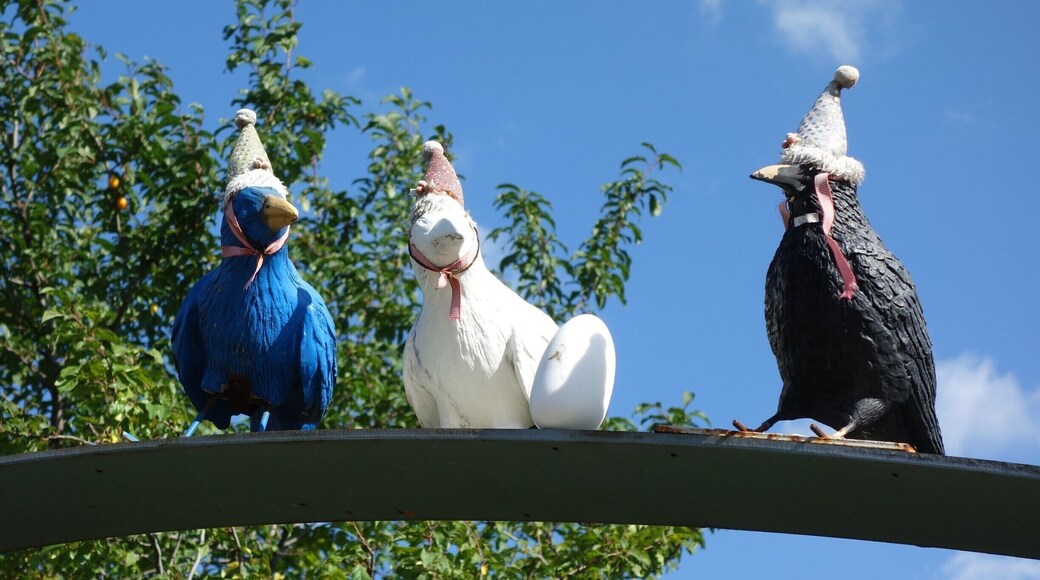 The #Wildlife campaign results in a lot of pictures of birds. This is my modest contribution.