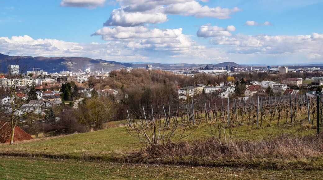 Ansichten von Leonding in Oberösterreich