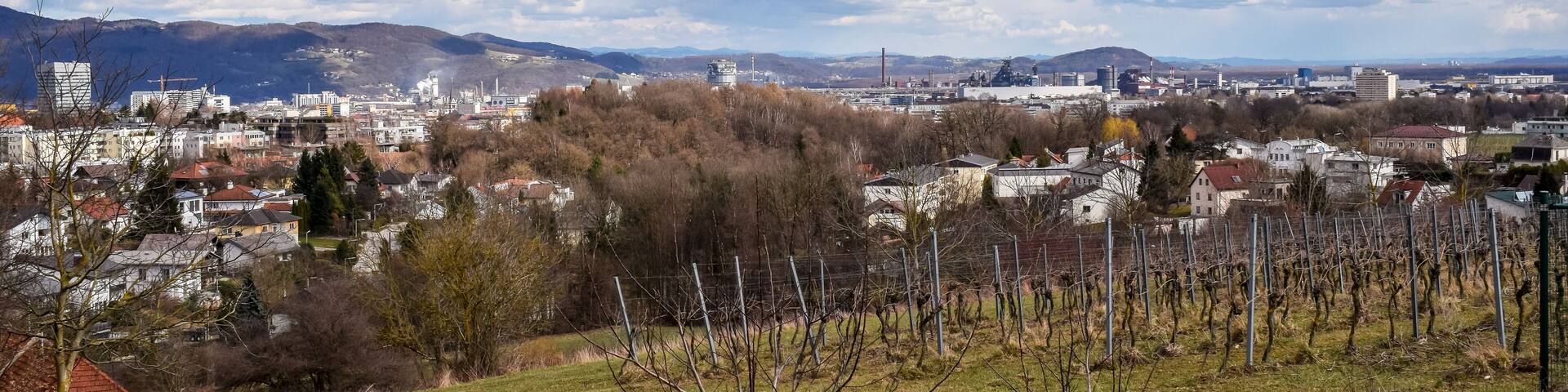 Ansichten von Leonding in Oberösterreich