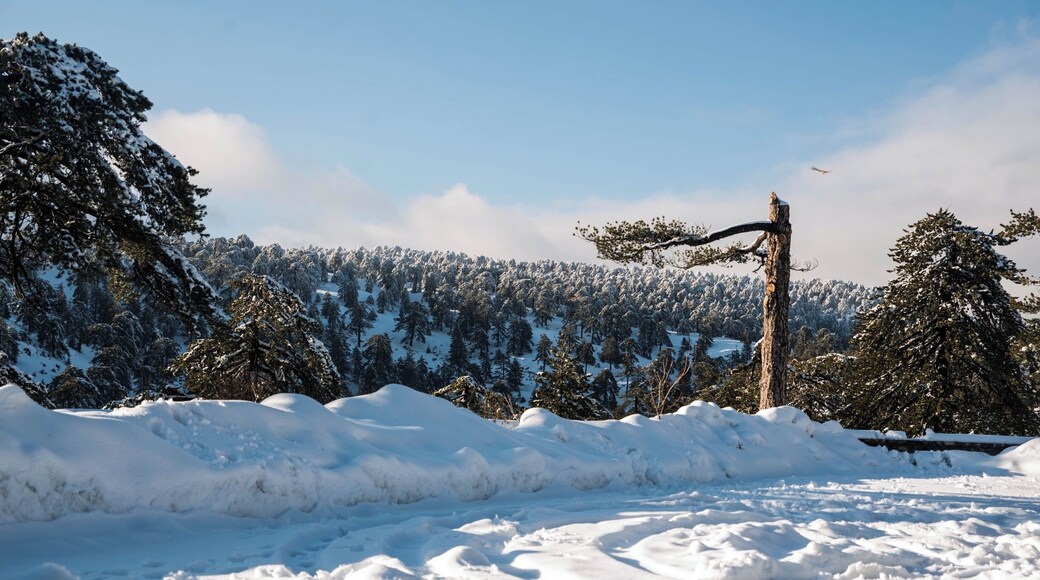 Troodos is the largest mountain range in Cyprus, located in roughly the center of the island. Troodos' highest peak is Mount Olympus at 1,952 meters, which hosts four ski slopes. The Troodos mountain range stretches across most of the western side of Cyprus. There are many famous mountain resorts, Byzantine monasteries and churches on mountain peaks, and nestling in its valleys and picturesque mountains are villages clinging to terraced hill slopes. The area has been known since antiquity for its mines, which for centuries supplied copper to the entire Mediterranean. In the Byzantine period it became a great centre of Byzantine art, as churches and monasteries were built in the mountains, away from the threatened coastline.