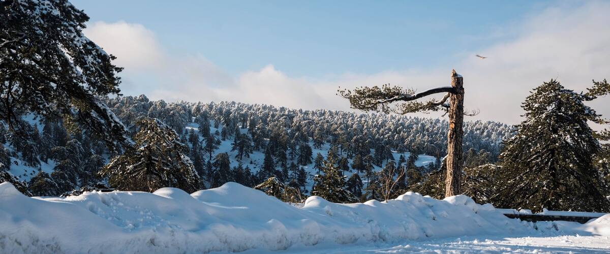 Troodos is the largest mountain range in Cyprus, located in roughly the center of the island. Troodos' highest peak is Mount Olympus at 1,952 meters, which hosts four ski slopes. The Troodos mountain range stretches across most of the western side of Cyprus. There are many famous mountain resorts, Byzantine monasteries and churches on mountain peaks, and nestling in its valleys and picturesque mountains are villages clinging to terraced hill slopes. The area has been known since antiquity for its mines, which for centuries supplied copper to the entire Mediterranean. In the Byzantine period it became a great centre of Byzantine art, as churches and monasteries were built in the mountains, away from the threatened coastline.
