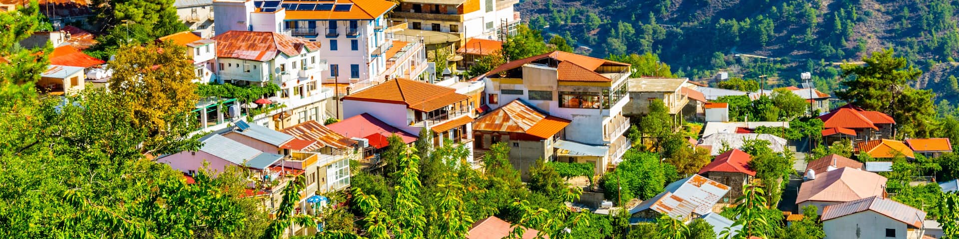 A mountainous village with terraced fields, traditional buildings with red roofs, and lush greenery.