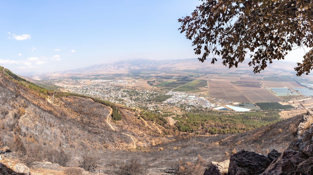 Qiryat Shemona