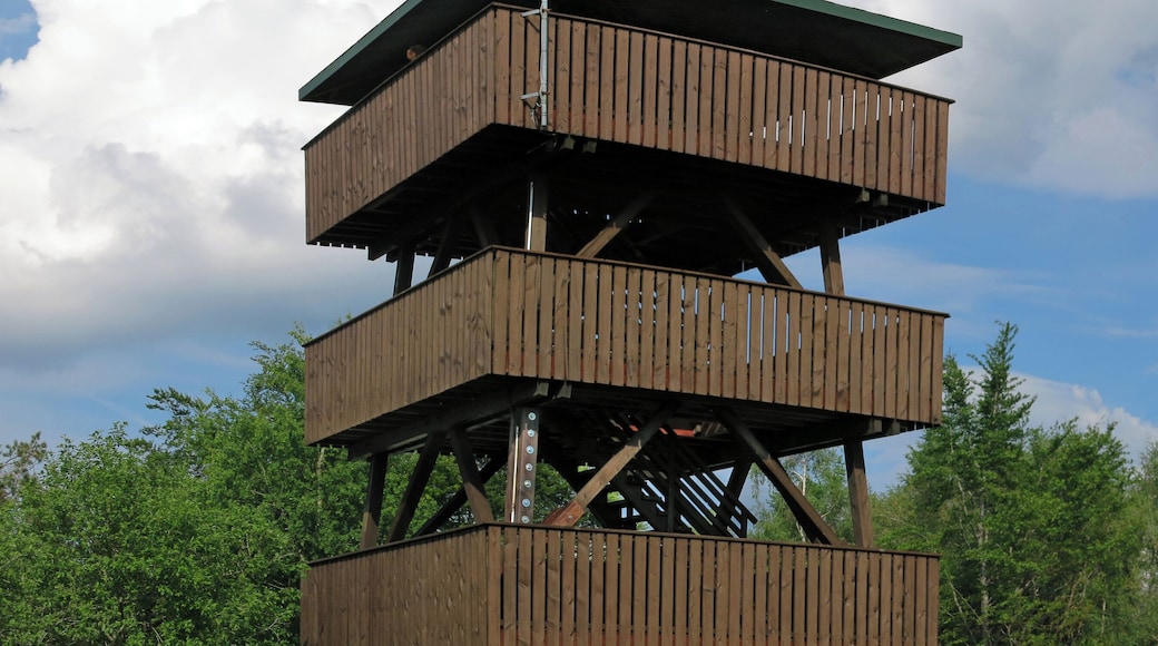 Lookout-tower on Erbeskopf