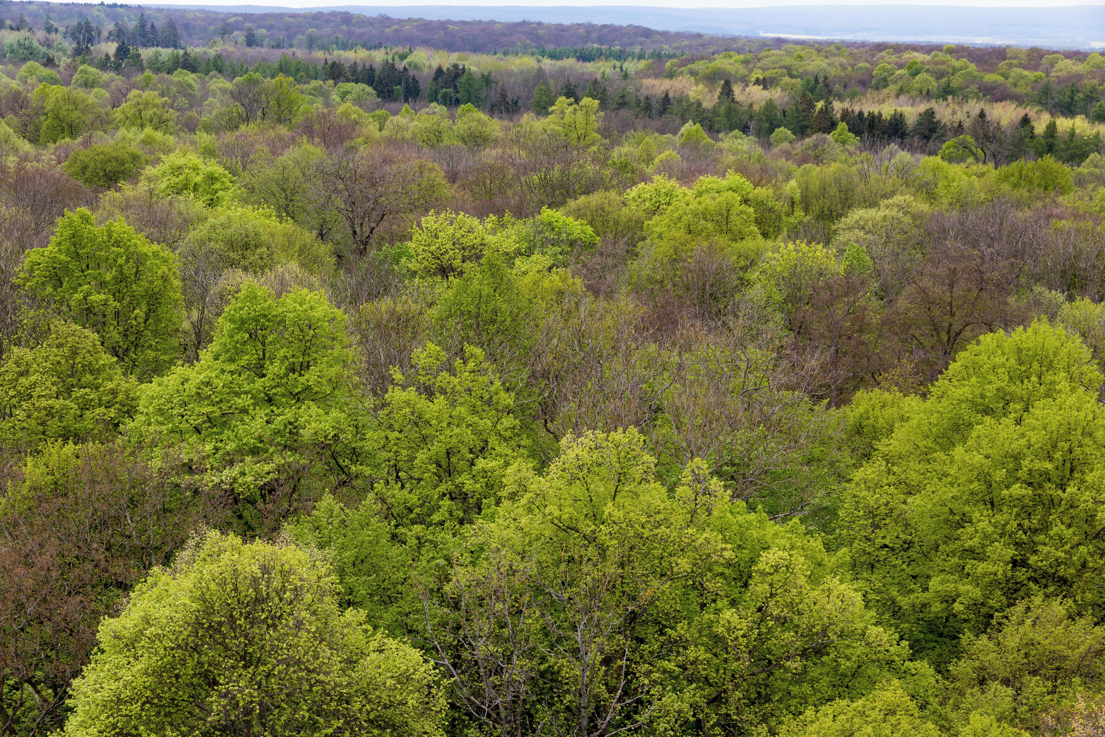 This is a picture of the protected area listed at WDPA under the ID