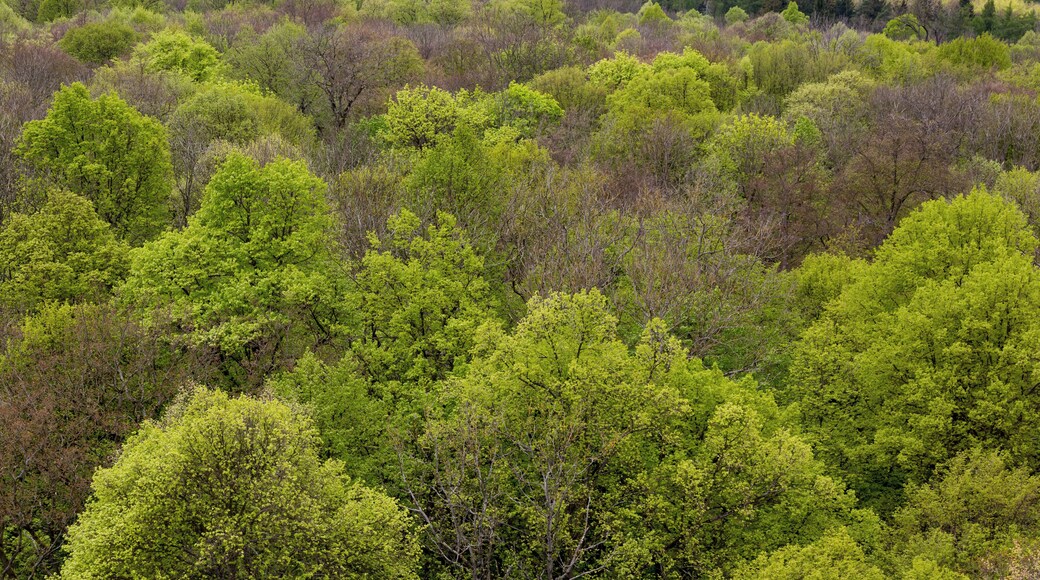 This is a picture of the protected area listed at WDPA under the ID