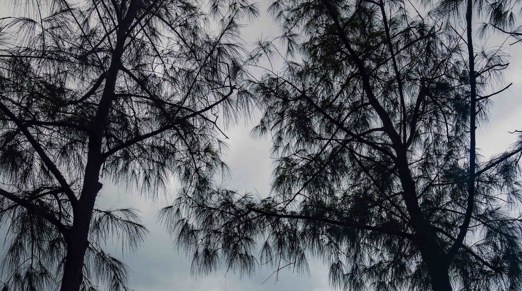 A brief glimpse of light a few weeks ago at Inarajan Pools