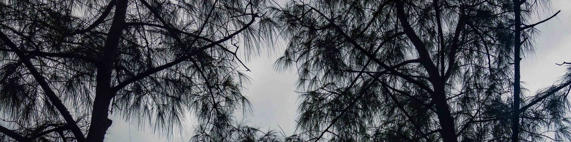 A brief glimpse of light a few weeks ago at Inarajan Pools