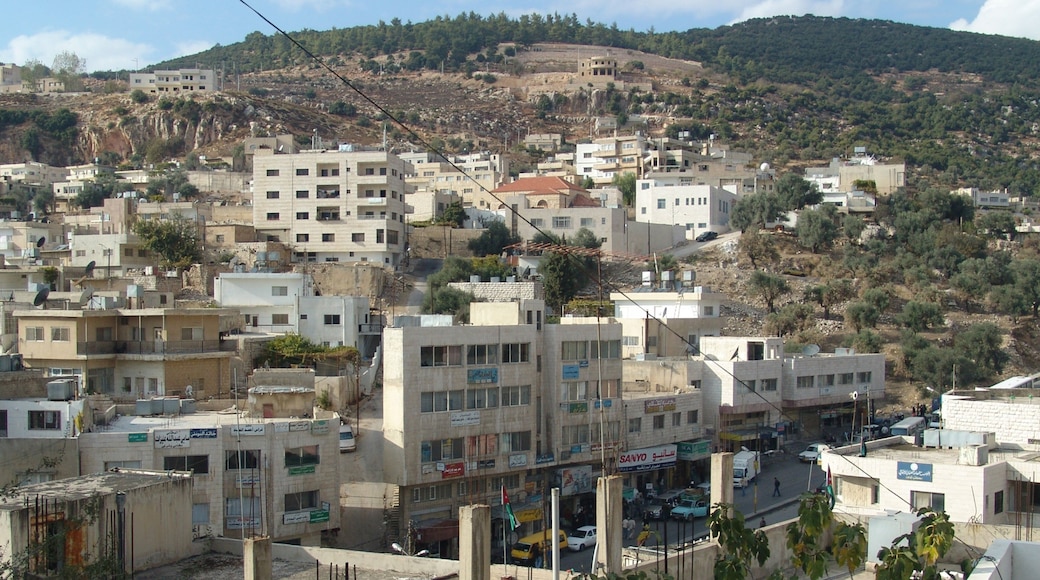 Ajloun featuring a city