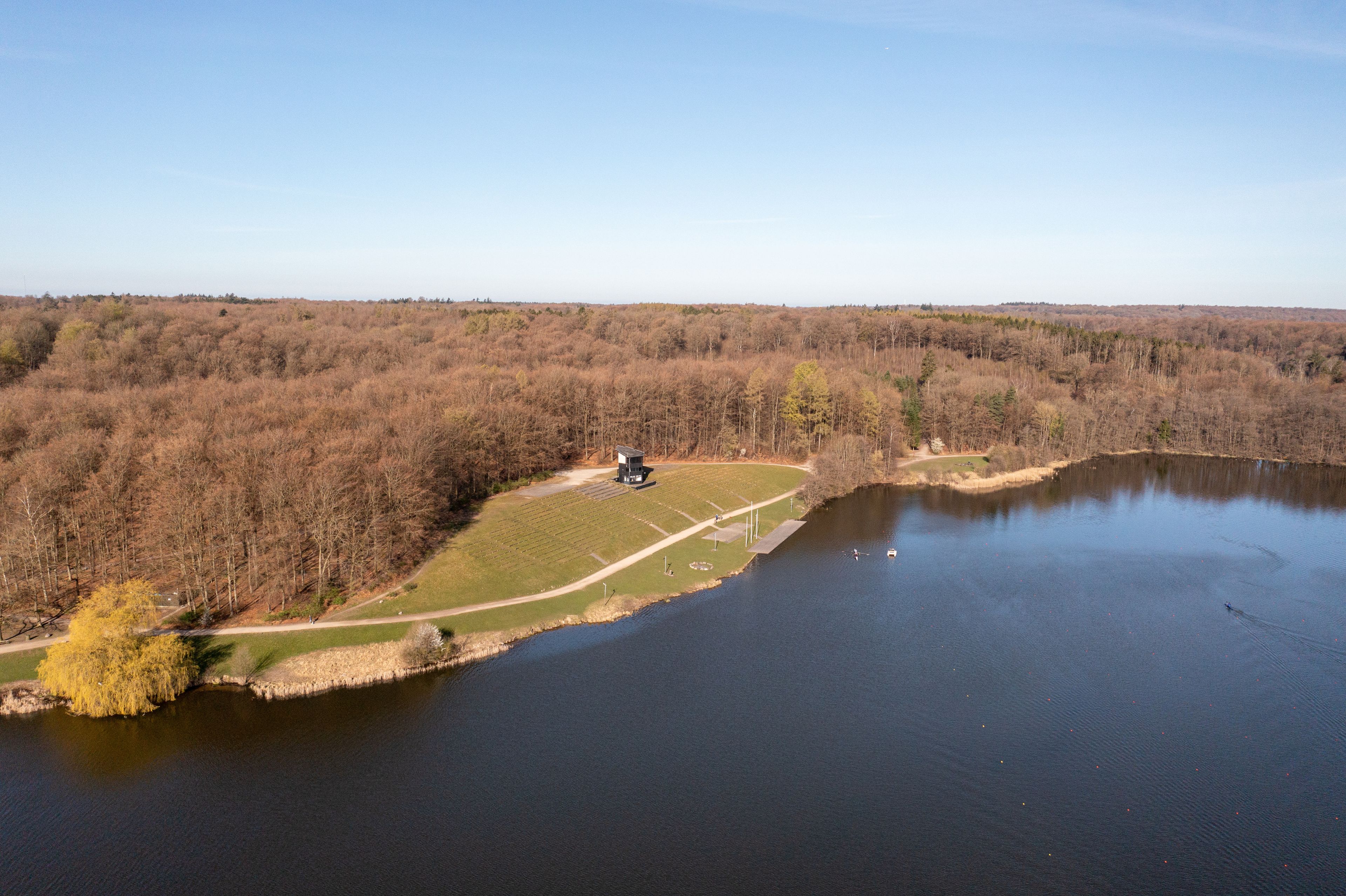A lake surrounded by forest, a small dock, and a clear sky.