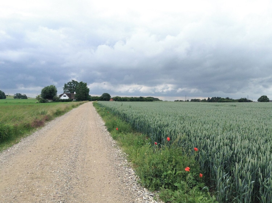 Cycling along route 40, amidst rolling hills and quiet farmlands. I enjoyed this particular view so much I later decided to paint it. Take a look here to read more about my bike ride: 
http://www.regenevieve.com/blog/a-successfully-disorganized-bike-tour-in-denmark/