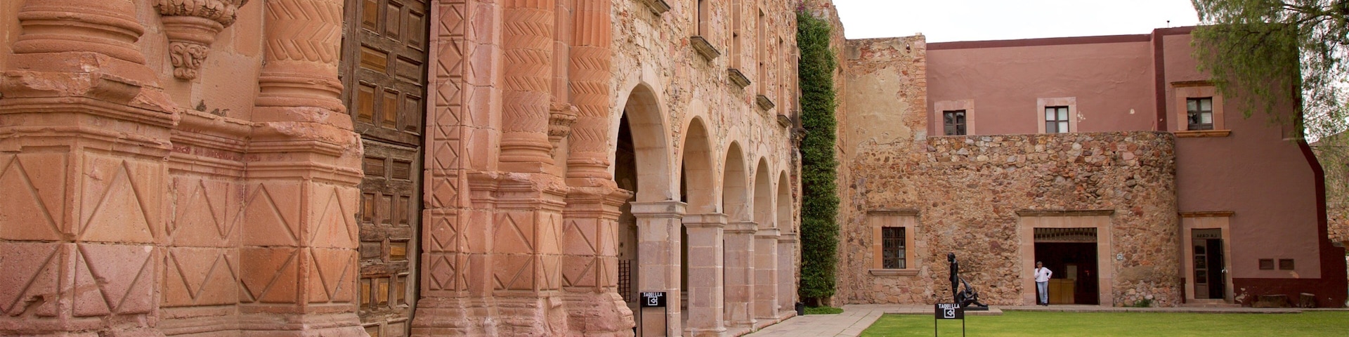 Rafael Coronel Museum which includes a park and heritage elements