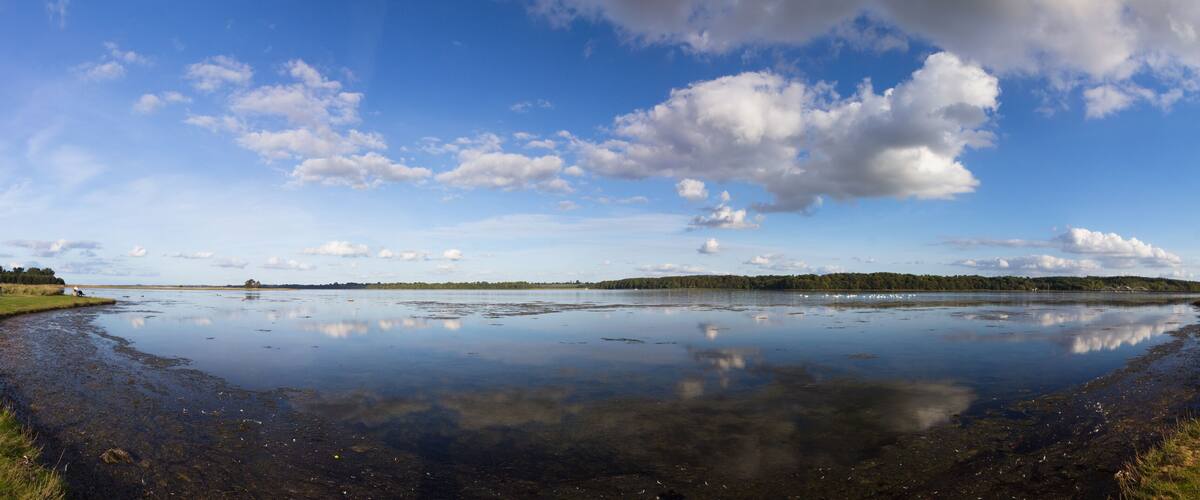 A wide, calm lake with a grassy shoreline and distant trees under a partly cloudy sky.