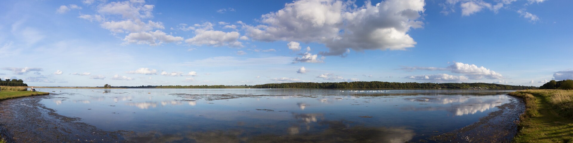 A wide, calm lake with a grassy shoreline and distant trees under a partly cloudy sky.