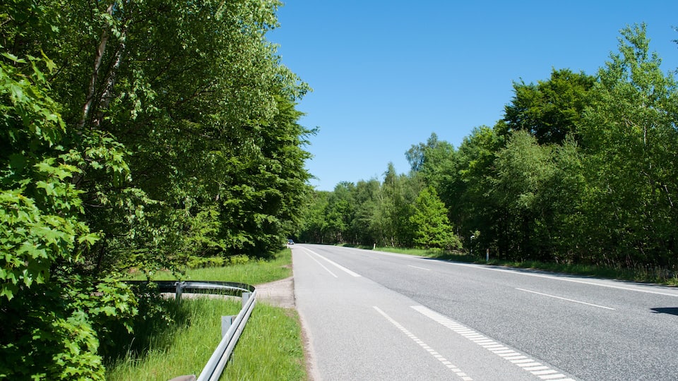 Road near Alleroed in Denmark