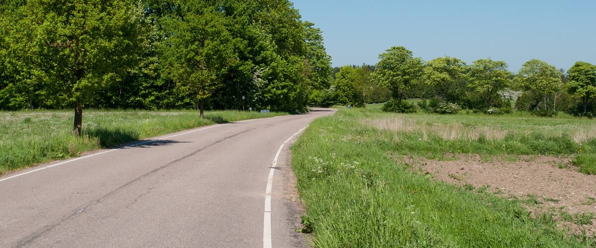 A rural road curving through a green landscape with trees and open fields.