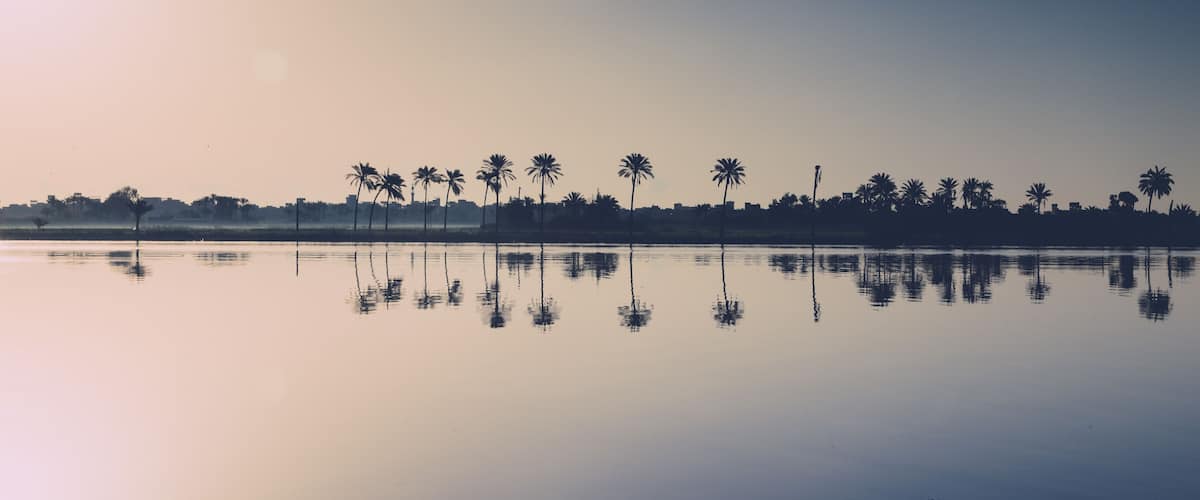 A calm lake with palm trees reflected in the water, a clear sky, and a distant city skyline.