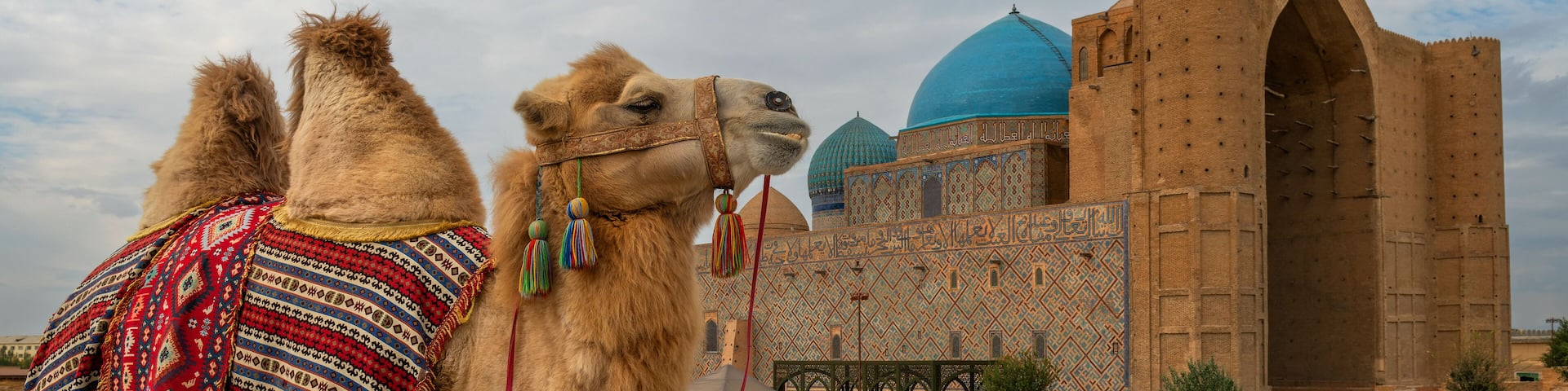 A Bactrian camel against the backdrop of the famous medieval mausoleum of Khoja Akhmet Yassaui in the Kazakh city of Turkestan