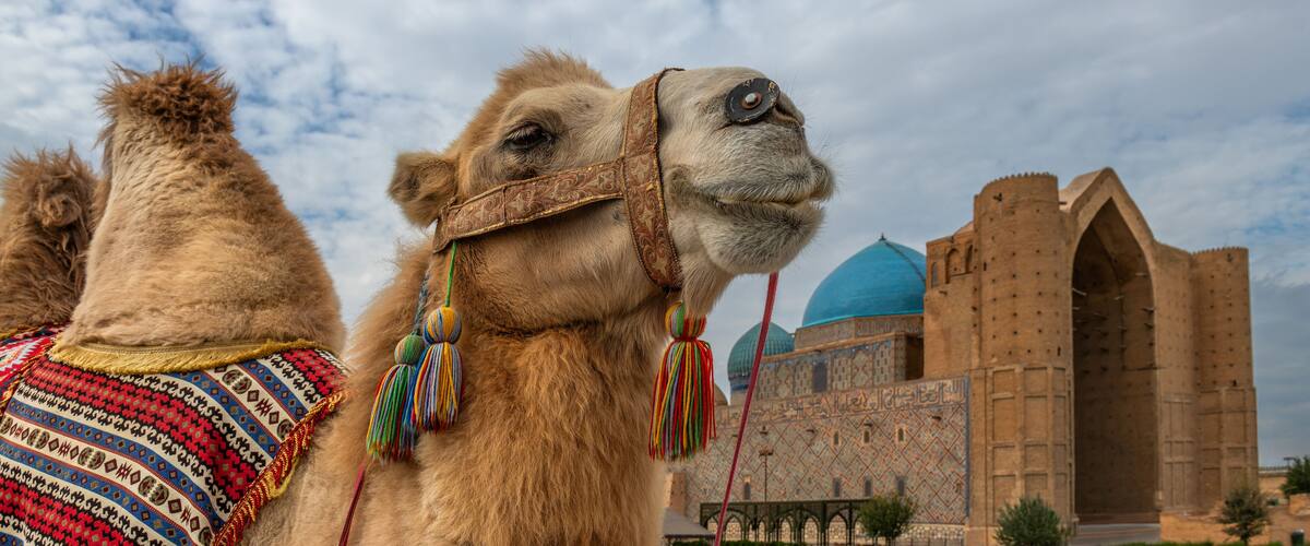 A Bactrian camel against the backdrop of the famous medieval mausoleum of Khoja Akhmet Yassaui in the Kazakh city of Turkestan