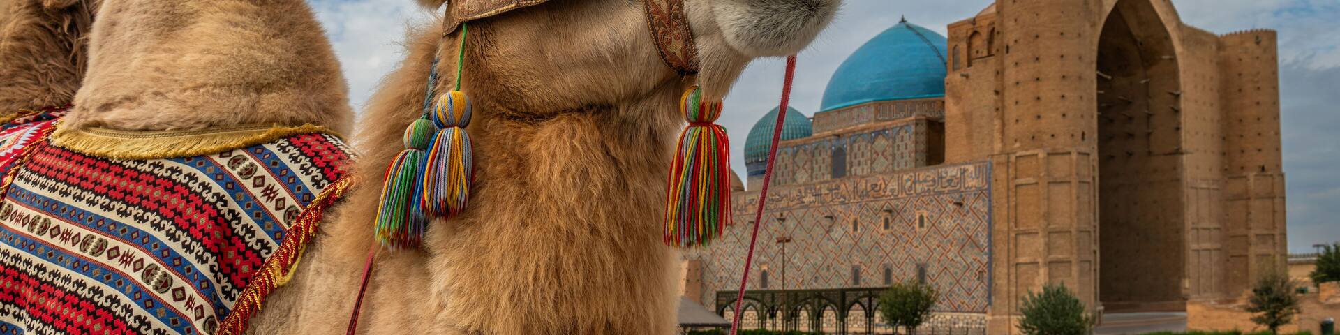 A Bactrian camel against the backdrop of the famous medieval mausoleum of Khoja Akhmet Yassaui in the Kazakh city of Turkestan