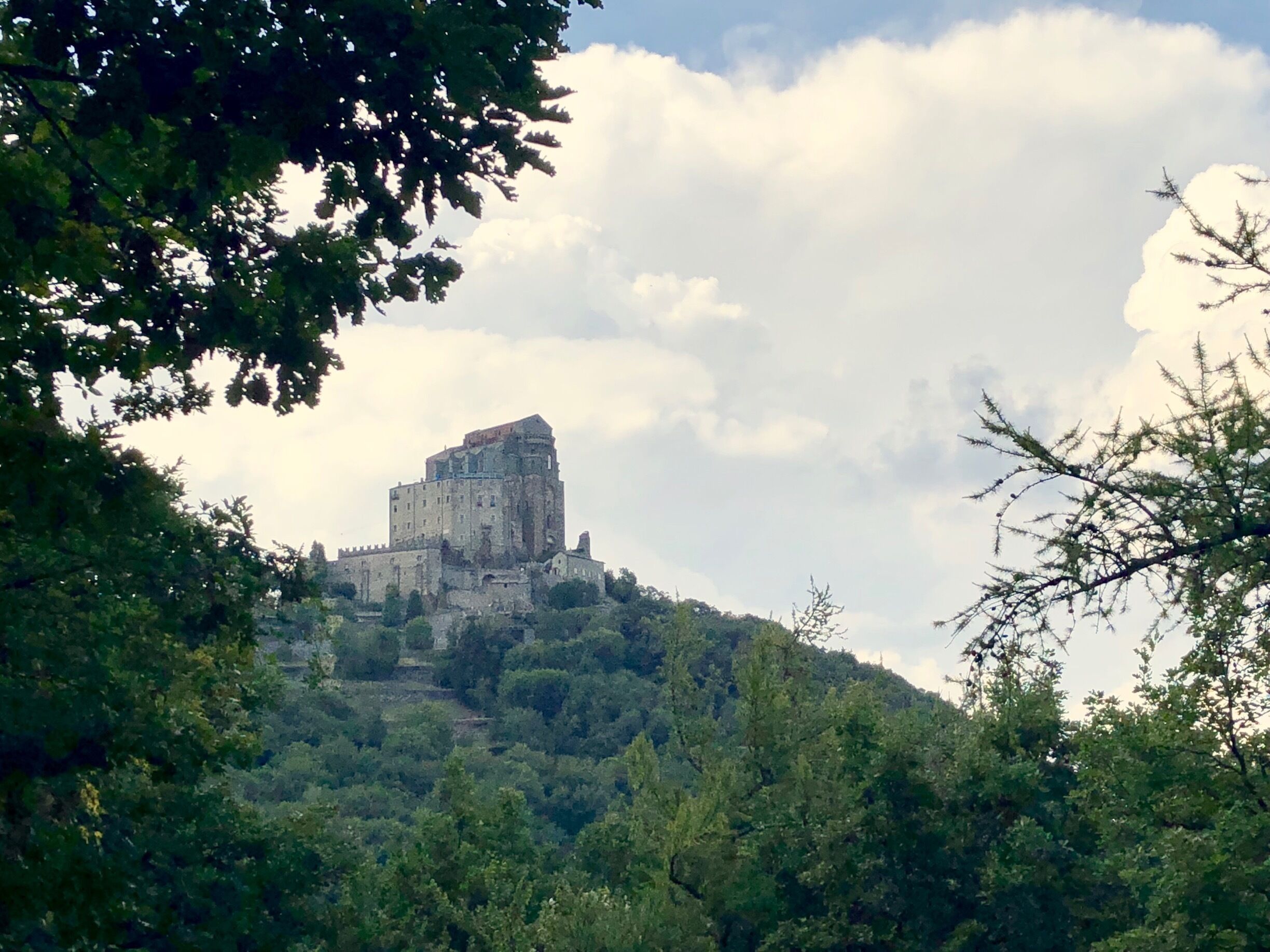 A historic castle on a hill surrounded by dense forest.