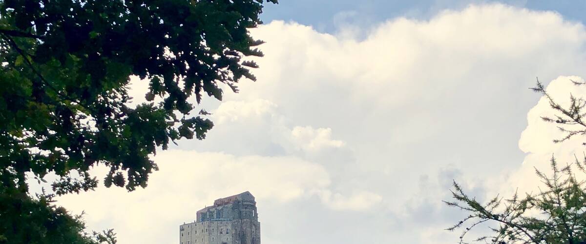 A historic castle on a hill surrounded by dense forest.