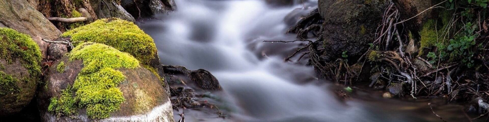 A bit of the beautiful nature we have in Denmark