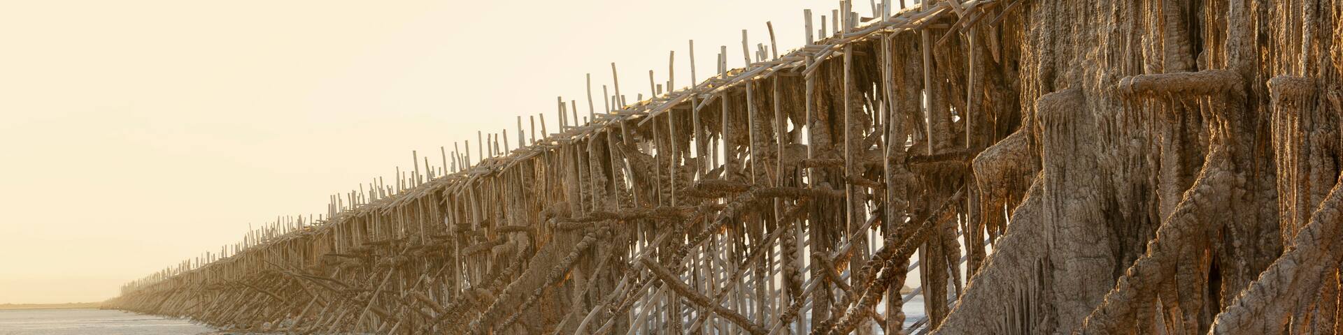 A beach with a deteriorating wooden pier extending into the water.