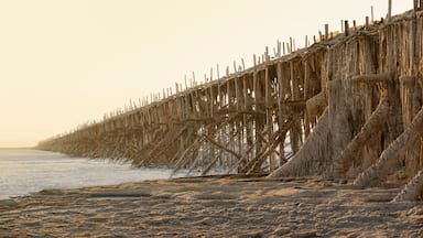 A beach with a deteriorating wooden pier extending into the water.