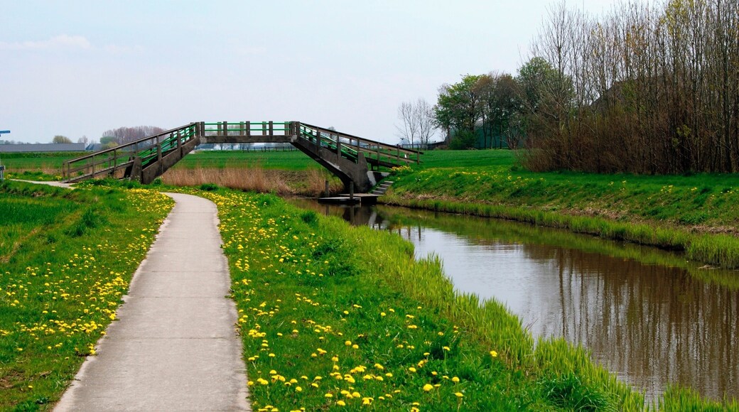 Zondeweer, Meedstermaarweg, Hoogholtje in het landschap
#architecture