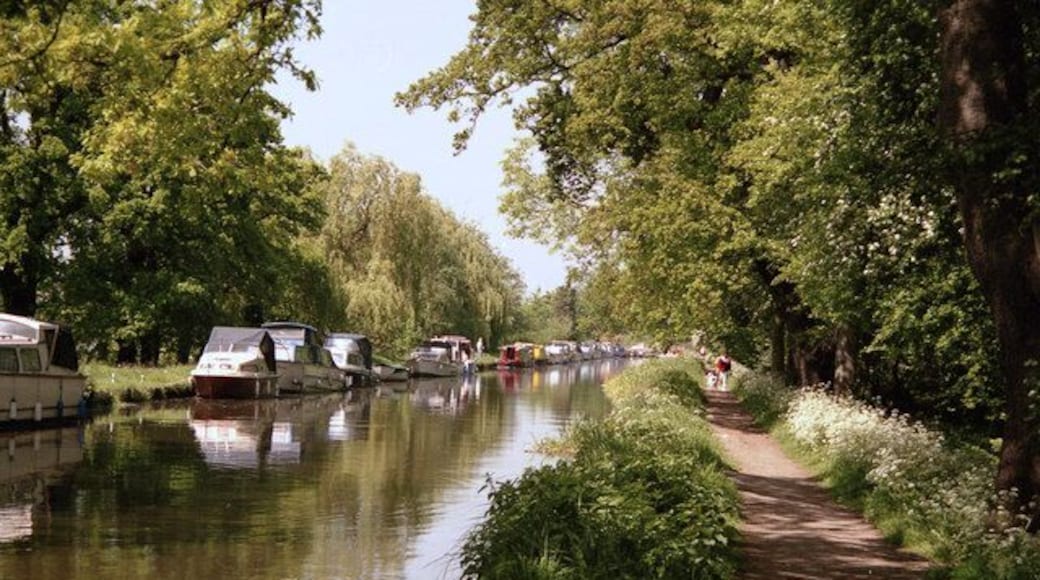 Wey Navigation above New Haw Lock. This wide straight stretch has meadows, trees, clear water, good depth in almost all seasons and plenty of moored launches and narrowboats.
