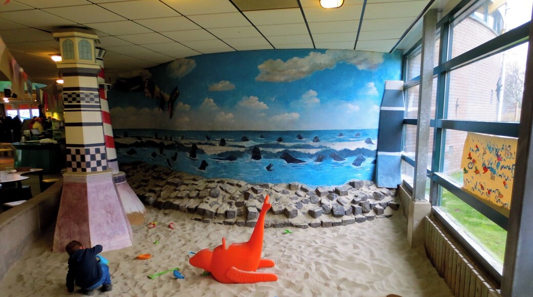 Zeehondencrรจche
Seal rescue Center
#KidsFun