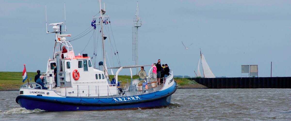 Exploring Ruby Valley