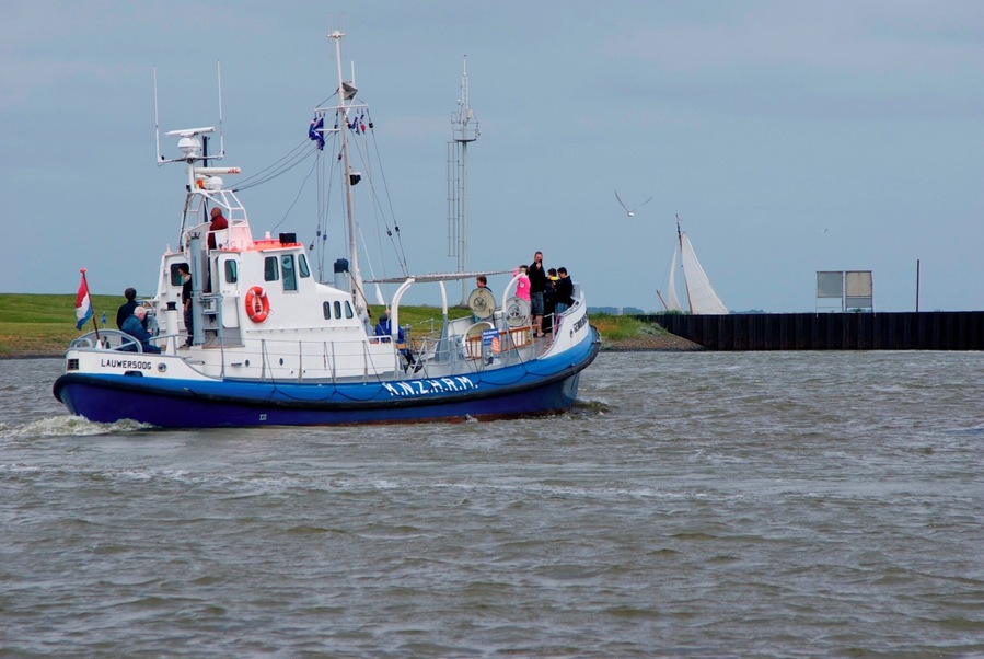 Exploring Ruby Valley