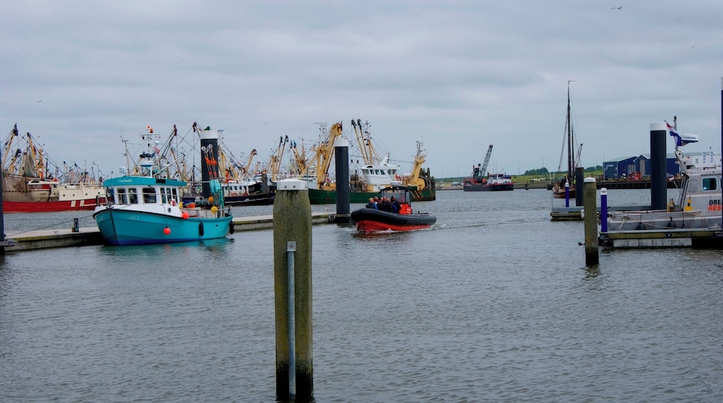 RESCUEBOAT TOCHT
Spectaculair uitwaaien op de Waddenzee en Noordzee met een snelle rescueboat