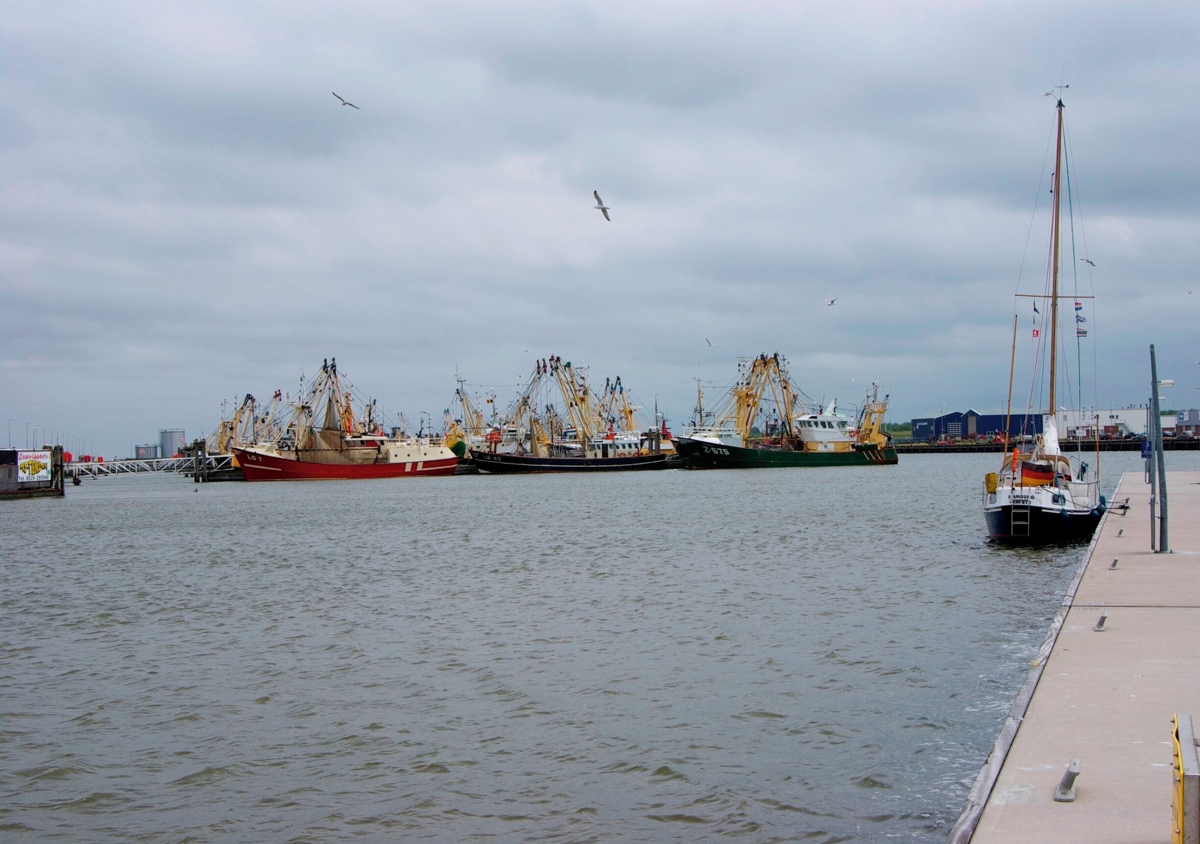 Haven Lauwersoog

#architecture