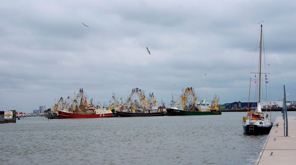 Haven Lauwersoog
#architecture