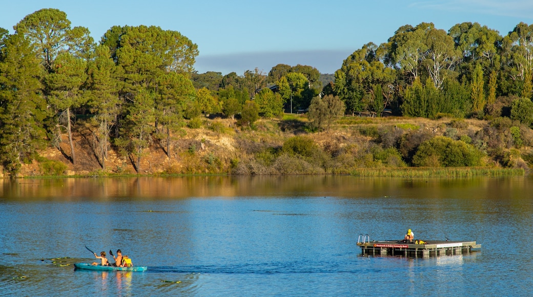 Beechworth showing a lake or waterhole and kayaking or canoeing