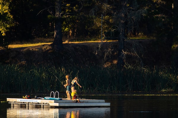 Une jetée sur laquelle est fixée une plaque indiquant « Beechworth Rotary Club », au bord d’un lac paisible, entouré d’arbres.