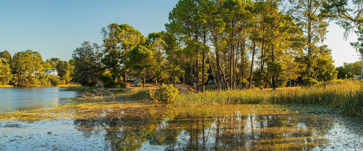 Lake Sambell showing a lake or waterhole and a pond